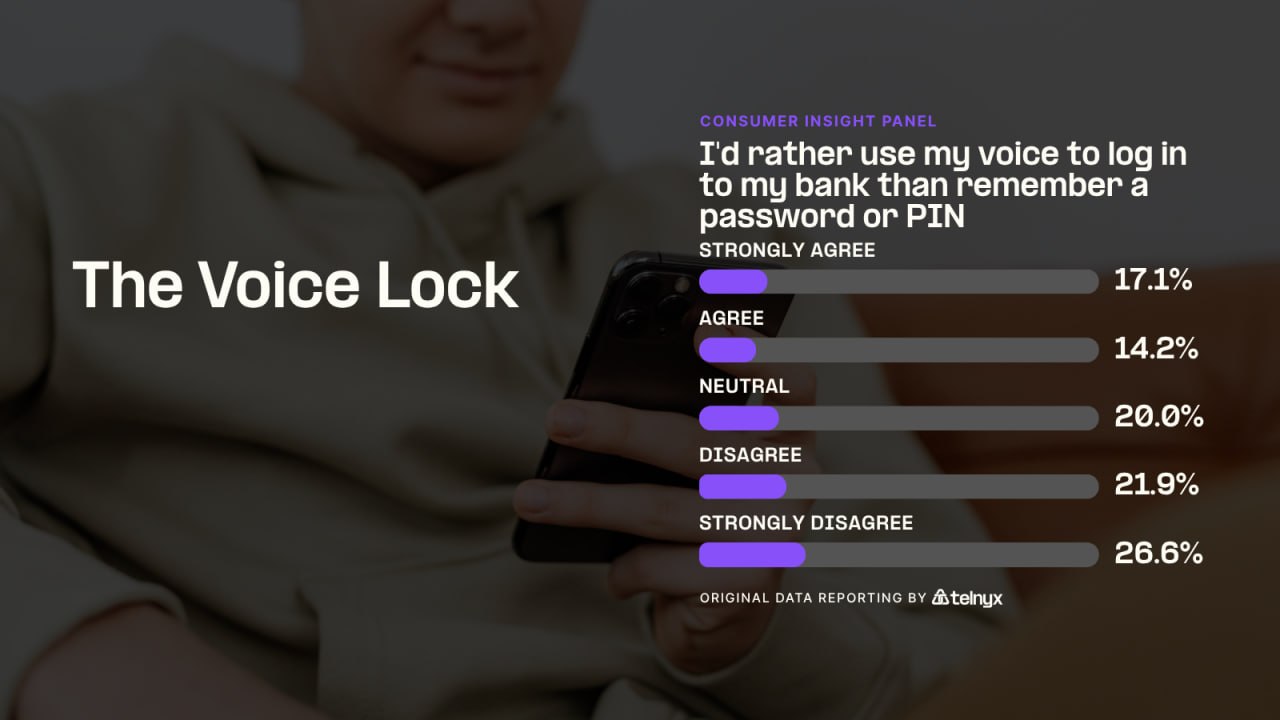 The Voice Lock - Infographic