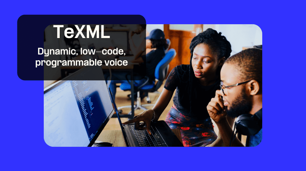 What is TeXML?