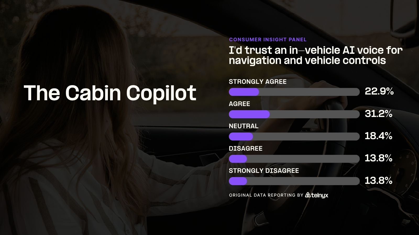 The Cabin Copilot - Infographic