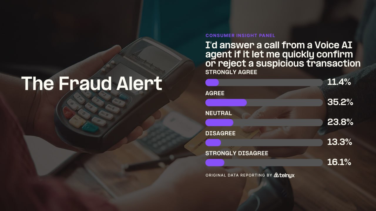 The Fraud Alert - Infographic